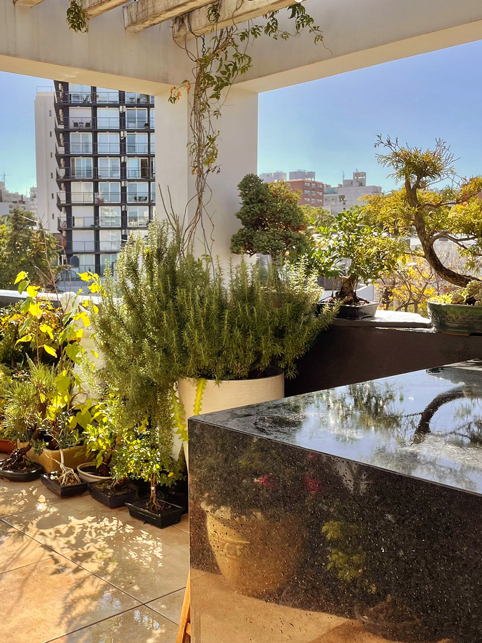 Terraza